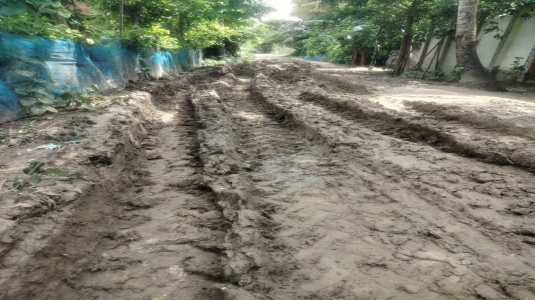 ফাইল ফটো